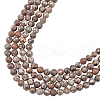 ARRICRAFT Natural Maifanite/Maifan Stone Beads Strands G-AR0002-24-1