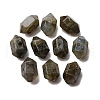 Natural Labradorite Beads G-M452-01G-1