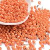 Baking Paint Glass Seed Beads X1-SEED-A032-02J-1