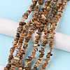 Natural Picture Jasper Beads Strands G-G0003-B16-2