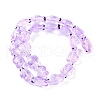 Transparent Glass Enamel Beads Strands GLAA-B021-06B-2