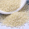 MIYUKI Delica Beads SEED-X0054-DB0157-1