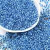 Transparent Inside Colours Glass Seed Beads X1-SEED-A032-04D-1