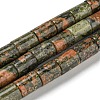 Natural Unakite Beads Strands G-Q1008-A14-1