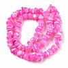 Natural Freshwater Shell Beads Strands SHEL-N003-23-B05-2