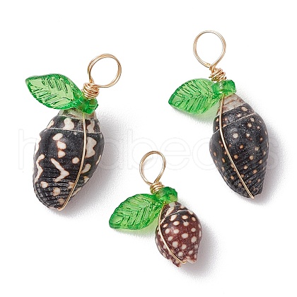 Natural Sea Shell Copper Wire Wrapped Pendants PALLOY-JF03610-04-1