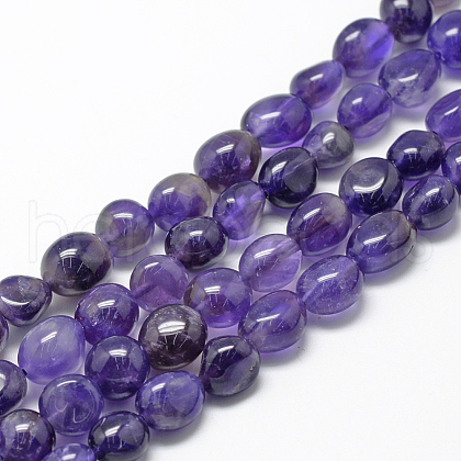 Natural Amethyst Beads Strands X-G-R445-8x10-03-1