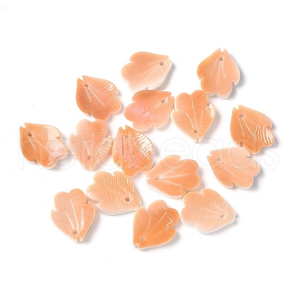 Natural Sea Shell Carved Leaf Charms SSHEL-C013-02B-1