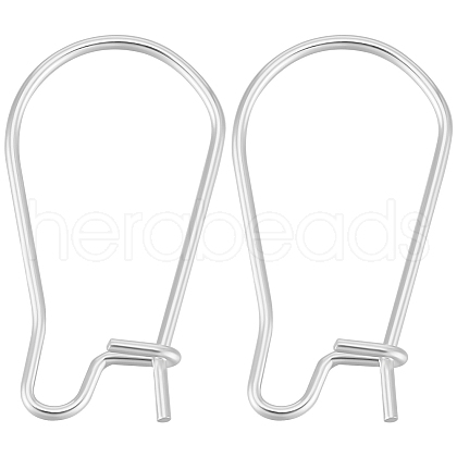 Beebeecraft 100Pcs 304 Stainless Steel Hoop Earring Findings STAS-BBC0005-94S-01-1