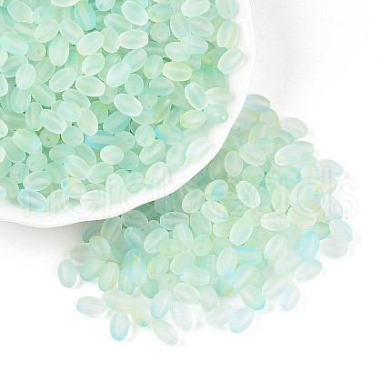 Frosted Glass Seed Beads SEED-N008-05F-1