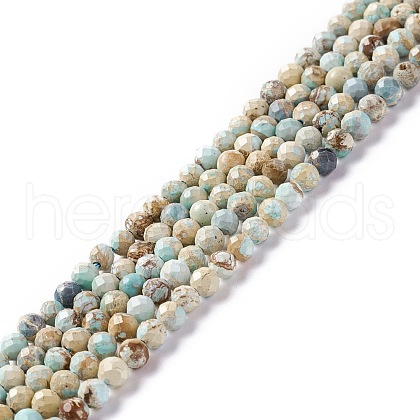 Natural Imperial Jasper Beads Strands G-L578-A03-1