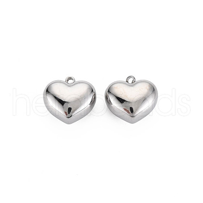 304 Stainless Steel Charms STAS-N097-148P-1