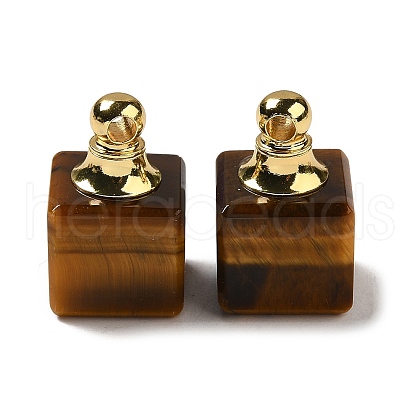 Natural Tiger Eye Perfume Bottle Pendants G-Z039-04G-02-1