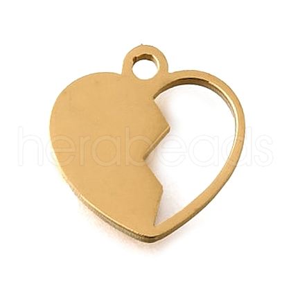 304 Stainless Steel Charms STAS-S178-02G-1