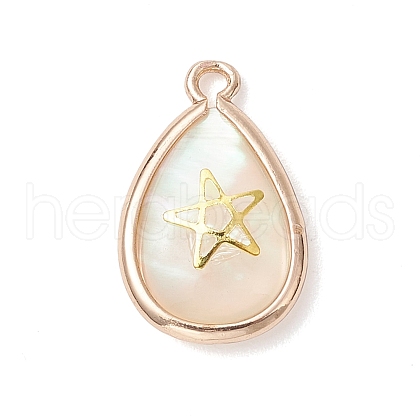 Natural Paua Shell Teardrop Pendants PALLOY-JF03762-02-1