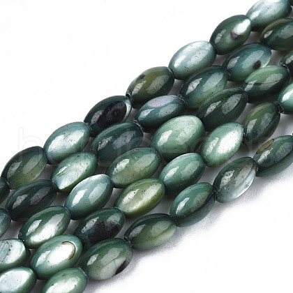 Natural Freshwater Shell Beads Strands SHEL-N003-25-B01-1