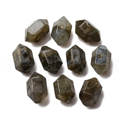Natural Labradorite Beads G-M452-01G-1