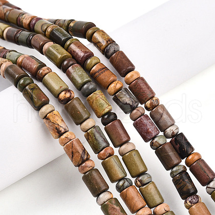 Natural Picasso Jasper/Polychrome Jasper Beads Strands G-N346-03A-05-1