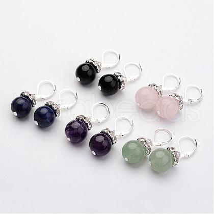 Natural Gemstone Dangle Earrings EJEW-JE02192-1