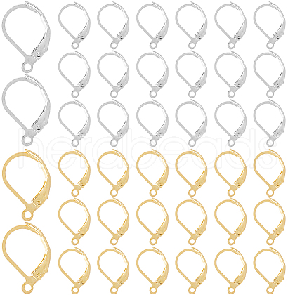 SOFPLATE 2 Colors 304 Stainless Steel Leverback Earring Findings STAS-SP0001-08B-1
