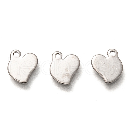 Non-Tarnish 304 Stainless Steel Charms STAS-H128-07P-1