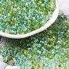 Transparent Glass Round Seed Beads X1-SEED-B001-05A-10-1