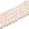 Natural Cultured Freshwater Pearl Beads Strands PEAR-N013-05N-4