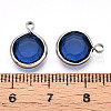 K9 Glass Charms X1-GLAA-T023-37B-06-3