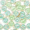 2 Sets 2 Styles Golden Plated Alloy Enamel Charms ENAM-YW0001-28D-2