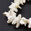 Natural Trochid Shell Beads Strands X-SSHEL-G023-05B-4