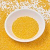MIYUKI Delica Beads SEED-J020-DB1572-2