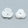 Freshwater Shell Beads SHEL-S275-013B-2