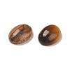 Natural & Synthetic Mixed Gemstone Cabochons G-M396-04-1-3