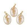 Rack Plating Brass Pave Shell Oval Pendants KK-U032-92G-08-1