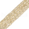 Electroplate Glass Beads Strands GLAA-P068-PL01-1