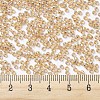 MIYUKI Round Rocailles Beads X-SEED-G007-RR1004-3