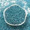 Glass Seed Beads X1-SEED-S042-04A-13-2