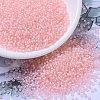 MIYUKI Round Rocailles Beads SEED-G007-RR1923-2