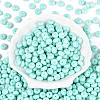 Opaque Baking Paint Glass Seed Beads SEED-N008-03A-05-2
