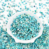 Glass Seed Beads SEED-N007-13D-2