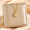 Brass Crystal Rhinestone Rotatable Pendant Necklaces NJEW-P331-01C-G-1