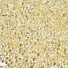 6/0 Baking Paint Transparent Glass Seed Beads SEED-N006-06B-3