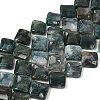 Natural Moss Agate Beads Strands G-L239-16-2
