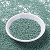 MIYUKI Round Rocailles Beads SEED-G007-RR2028-2