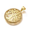Rack Plating Brass Micro Pave Cubic Zirconia Pendants KK-L226-051G-06-2