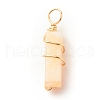 Natural Carnlian Pendants PALLOY-JF01581-05-2