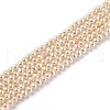 Natural Cultured Freshwater Pearl Beads Strands PEAR-L033-04-01-1