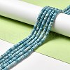 Natural Gemstone Beads Strands G-F730-03A-2