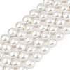 Electroplated Shell Pearl Beads Strands BSHE-G027-13C-2