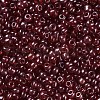 Glass Seed Beads SEED-A006-3mm-105B-2
